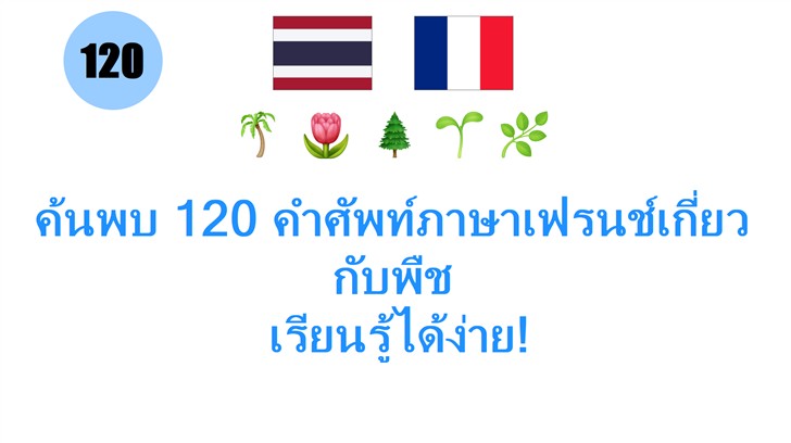 ค้นพบ 120 คำศัพท์ภาษาเฟรนช์เกี่ยวกับพืช: เรียนรู้ได้ง่าย!